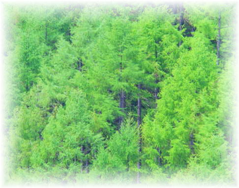 �j���E�J�T